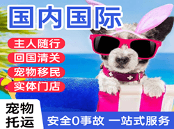 鄂尔多斯空运国际宠物托运 【国